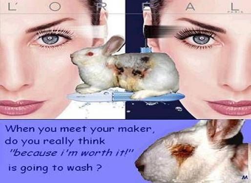 animal testing cruelty pictures. L#39;Oreal#39;s Cruel Animal Testing